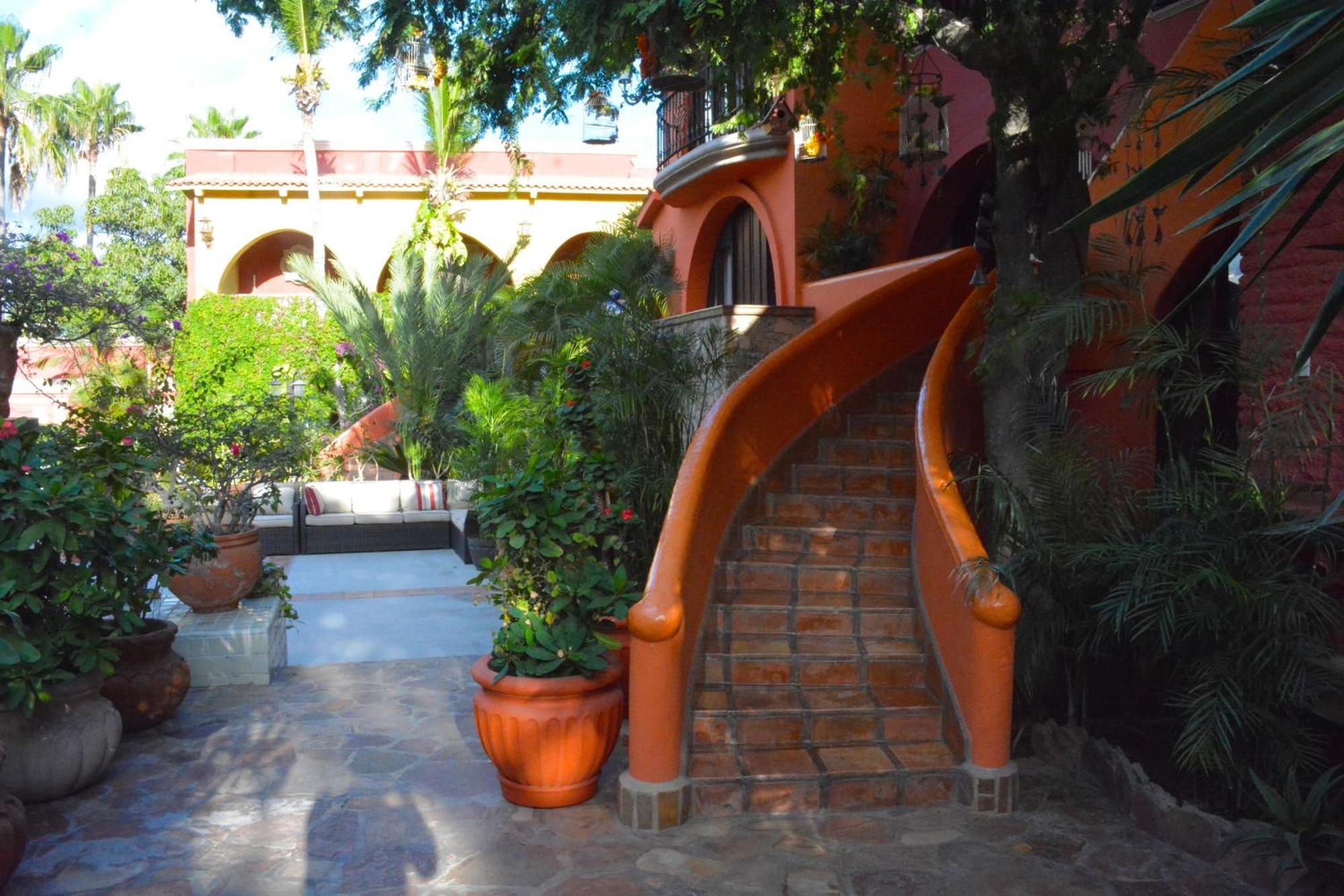 Collection O Casa Bella Hotel Boutique, Κάβο σαν Λούκας Εξωτερικό φωτογραφία